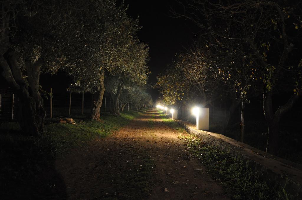 Quinta Da Sardinha Villa เอลวัช ภายนอก รูปภาพ