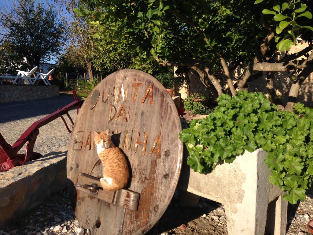 Quinta Da Sardinha Villa เอลวัช ภายนอก รูปภาพ